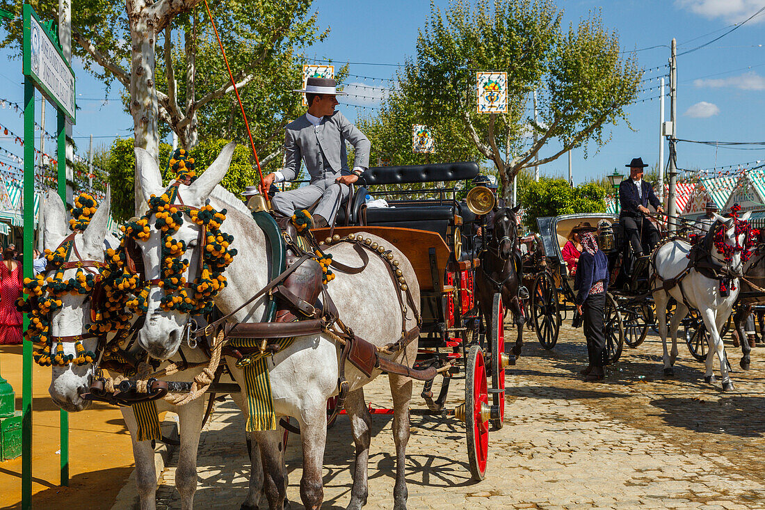 Pferdekutsche, Feria de Abril, Frühlingsfest, Sevilla, Andalusien, Spanien, Europa