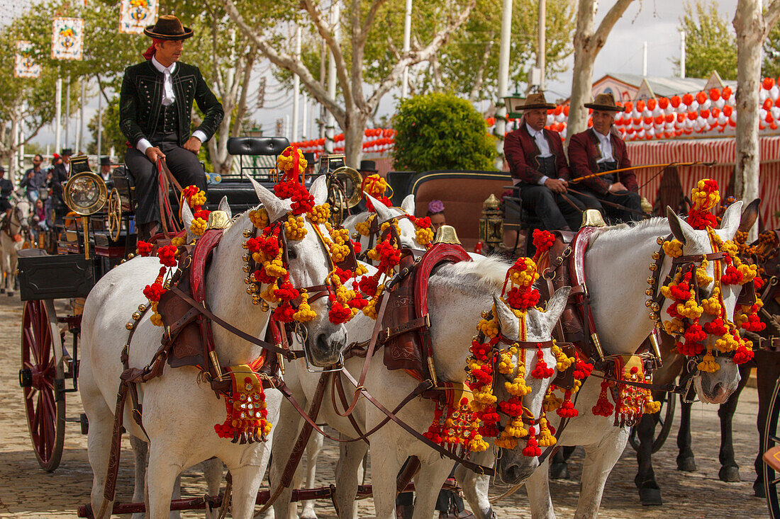 Pferdekutsche, Feria de Abril, Frühlingsfest, Sevilla, Andalusien, Spanien, Europa