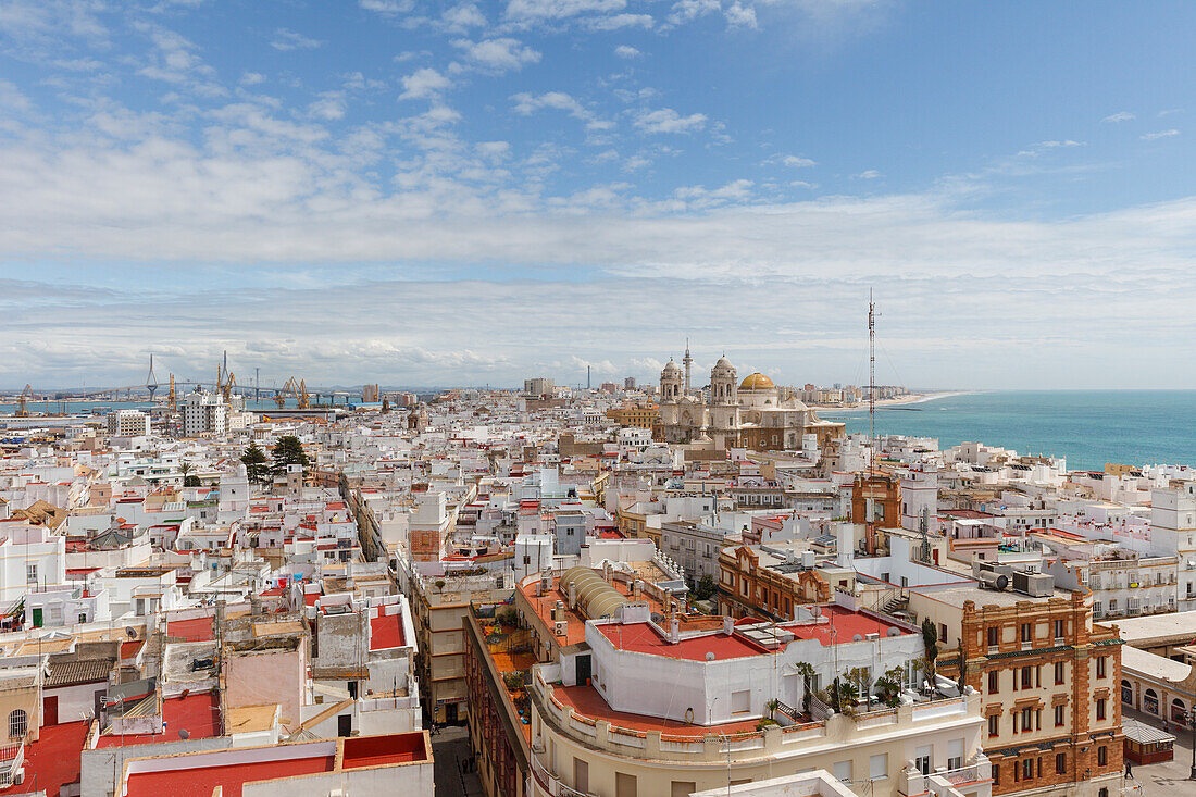 Blick vom Torre Tavira, Aussichtsturm, Altstadt mit Kathedrale, Cadiz, Costa de la Luz, Atlantik, Andalusien, Spanien, Europa