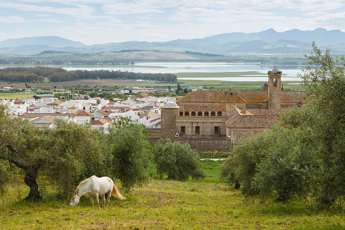 Bornos und Embalse de Bornos, Stausee, b. Arcos de la Frontera, Provinz Cadiz, Andalusien, Spanien, Europa