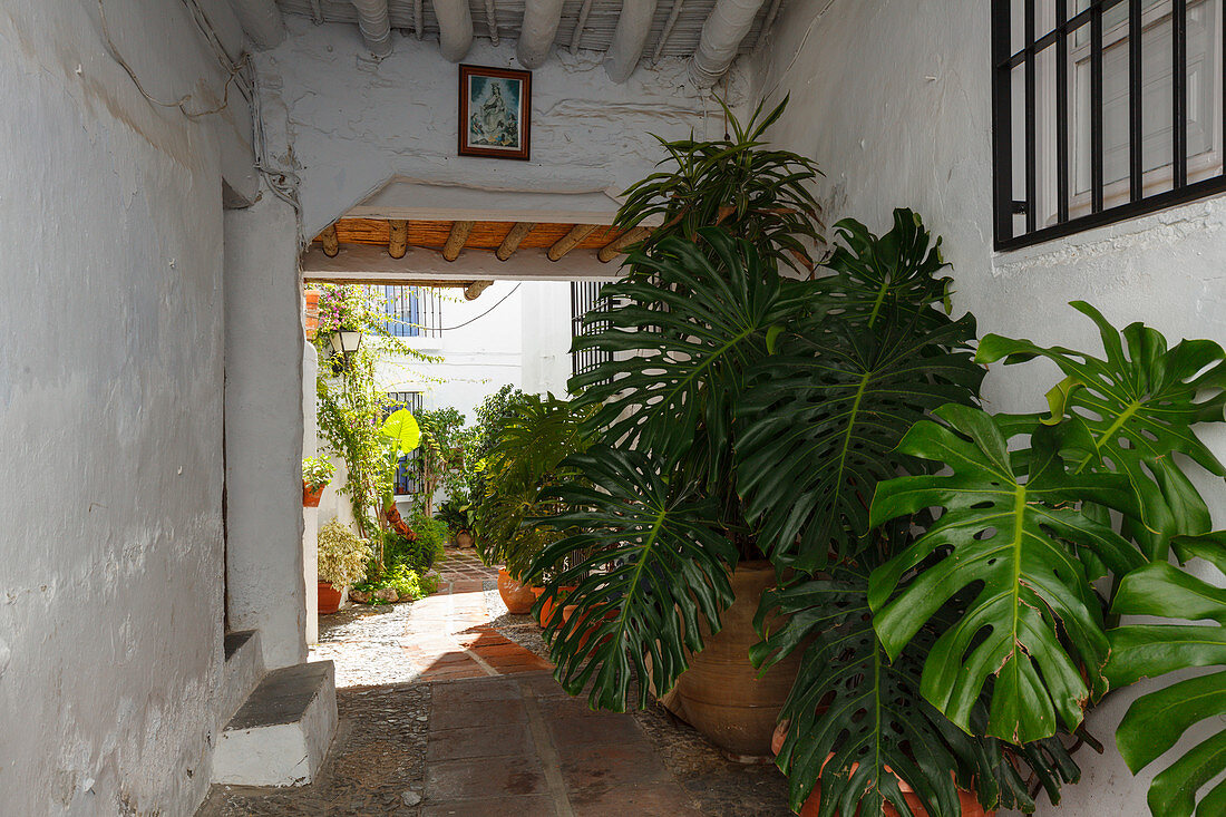 Frigiliana, pueblo blanco, white village, Malaga province, Andalucia, Spain, Europe