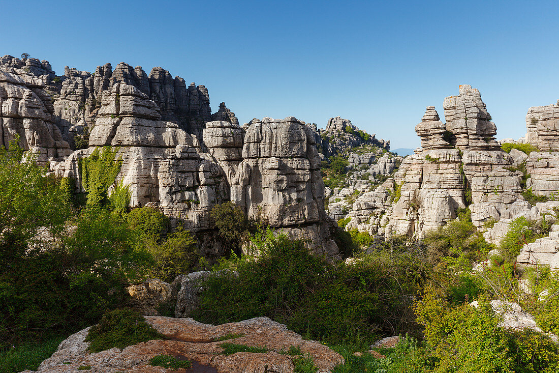 El Torcal, El Torcal de Antequera, nature park, karst landscape, erosion, near Antequera, Malaga province, Andalucia, Spain