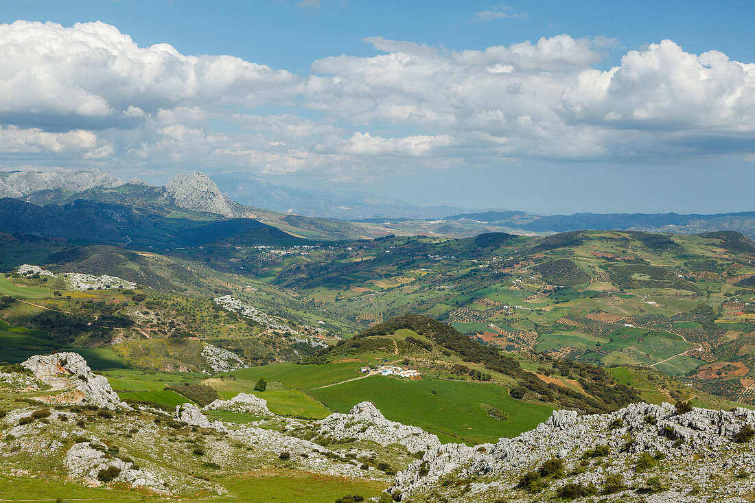 Landschaft bei El Torcal, El Torcal de Antequera, Naturpark, Karst, Karstlandschaft, Erosion, bei Antequera, Provinz Malaga, Andalusien, Spanien