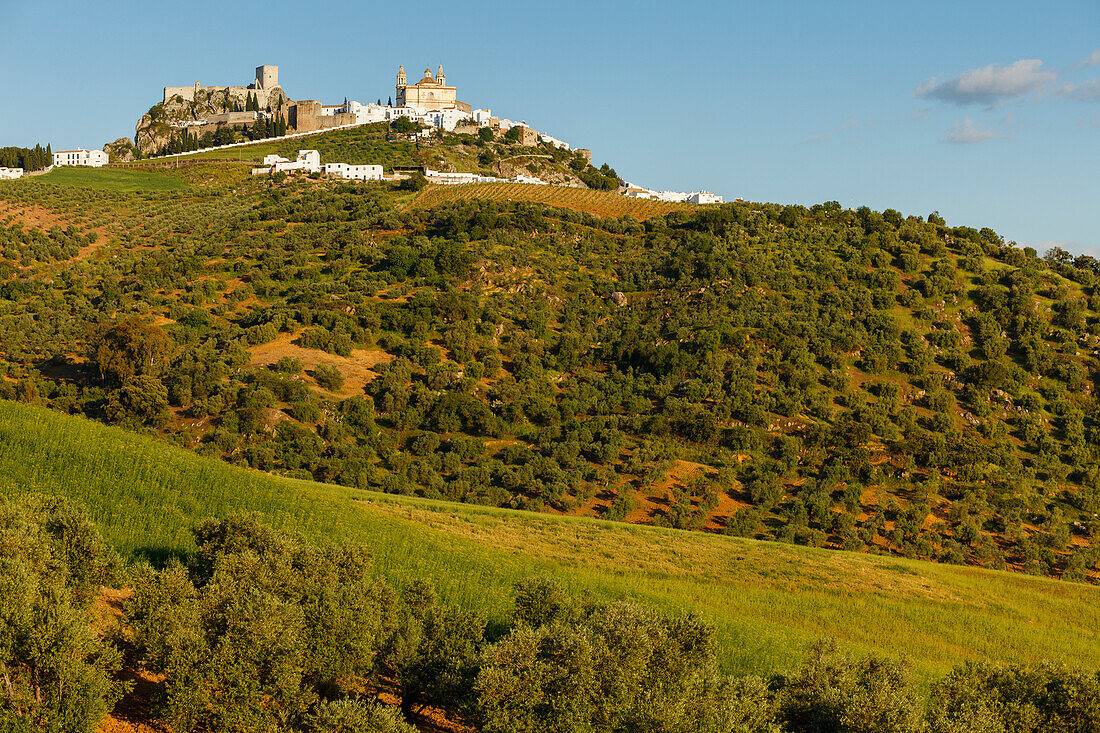 Castillo, Arab castle, church, Olvera, pueblo blanco, white village, Cadiz province, Andalucia, Spain, Europe
