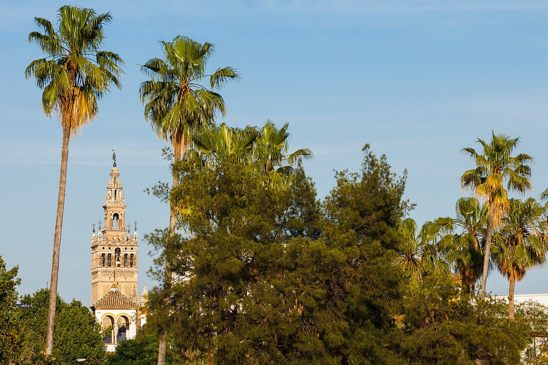 Torre del Oro, Giralda, bell tower of the cathedral, Sevilla, Andalucia, Spain, Europe