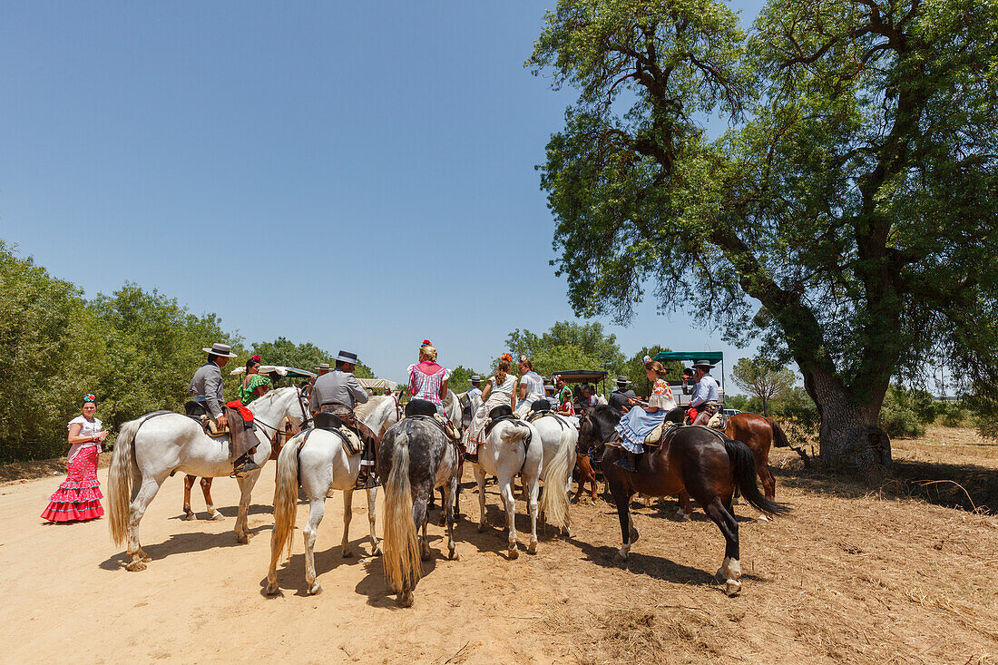 Horse riders, El Rocio, pilgrimage, Pentecost festivity, Huelva province, Sevilla province, Andalucia, Spain, Europe