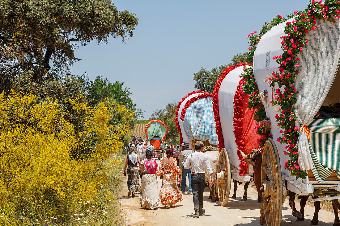 Karawane der Ochsenkarren, El Rocio, Wallfahrt nach El Rocio, Fest, Pfingsten, Provinz Huelva, Provinz Sevilla, Andalusien, Spanien, Europa