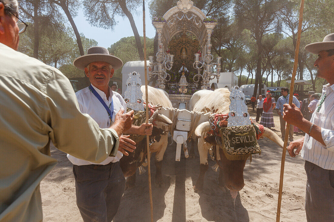 Ochsentreiber, Simpecado-Karren, El Rocio, Wallfahrt nach El Rocio, Fest, Pfingsten, Provinz Huelva, Provinz Sevilla, Andalusien, Spanien, Europa