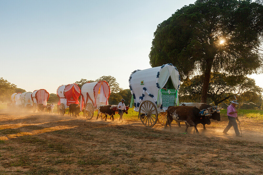 Karawane der Ochsenkarren, El Rocio, Wallfahrt nach El Rocio, Fest, Pfingsten, Provinz Huelva, Provinz Sevilla, Andalusien, Spanien, Europa