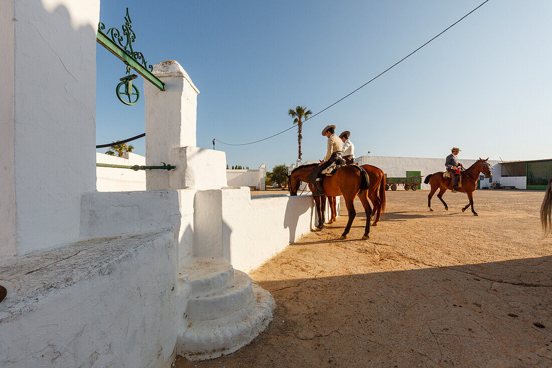 Horse riders at a water trough, El Rocio pilgrimage, Pentecost festivity, Huelva province, Sevilla province, Andalucia, Spain, Europe