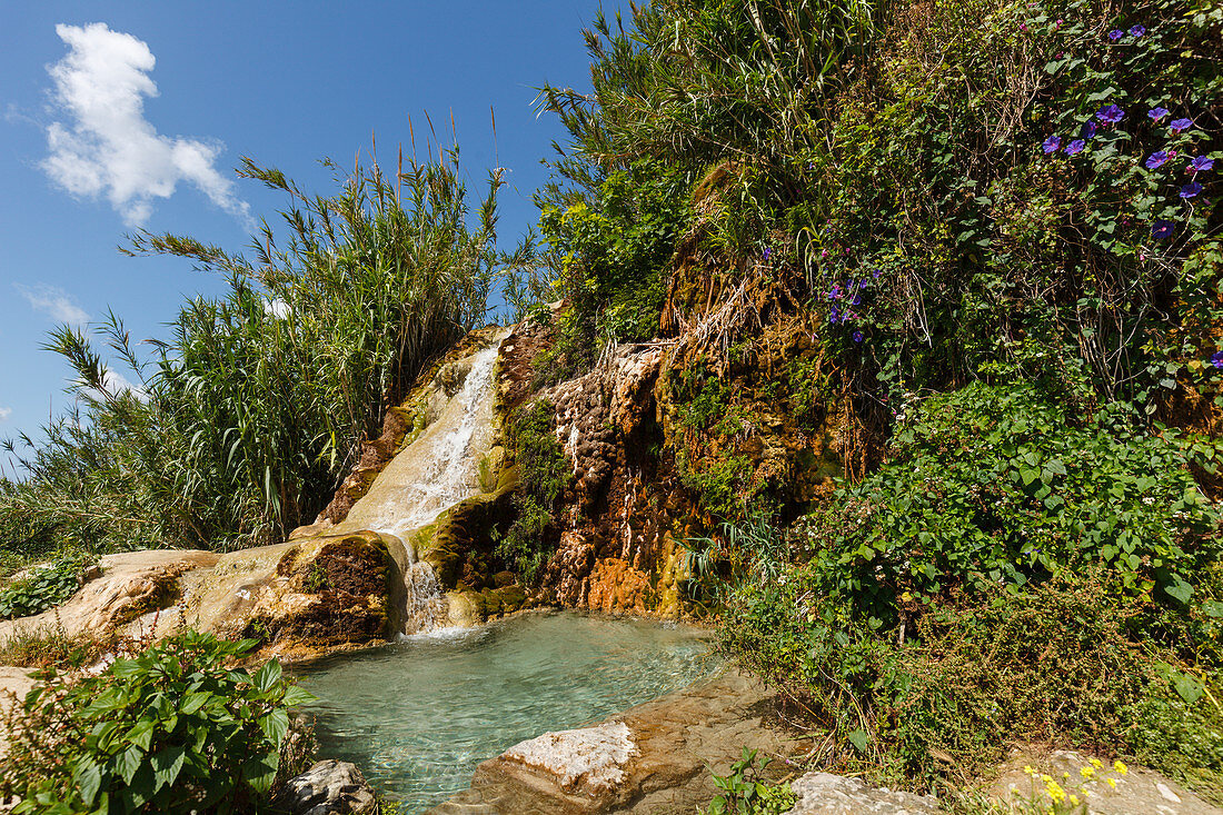 waterfall, spring, plateau of La Muela, Santa Lucía, near Conil, Costa de la Luz, Cadiz province, Andalucia, Spain, Europe