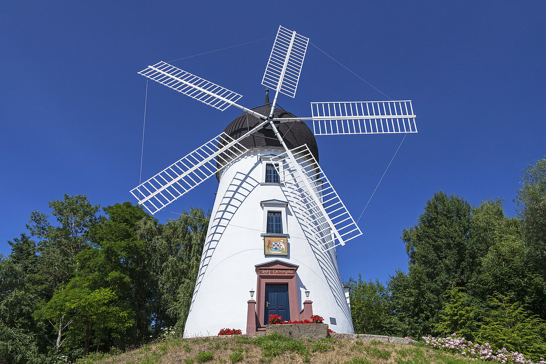Replica of the windmill Lady Devorgilla in Gifhorn, Lower Saxony, Northern Germany, Germany, Europe
