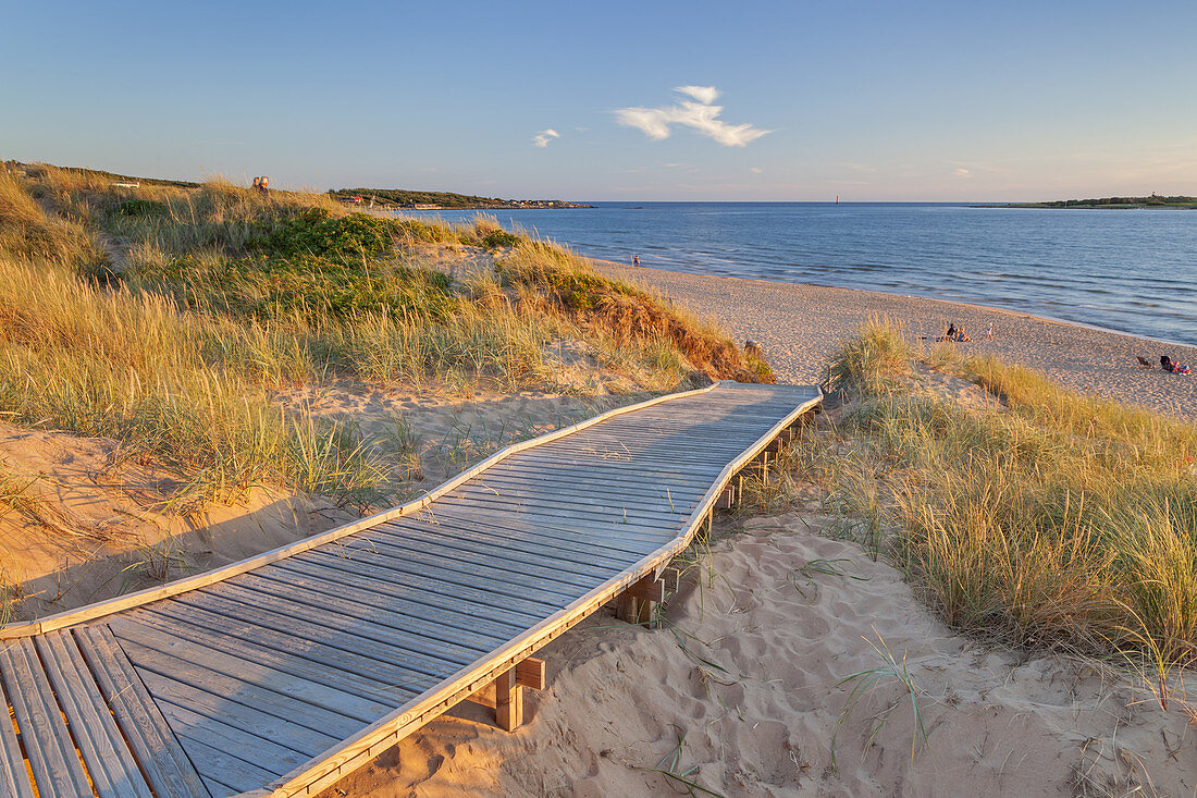 Way across the dunes to the beach of Tylösand, Halmstad, Halland, South Sweden, Sweden, Scandinavia, Northern Europe, Europe