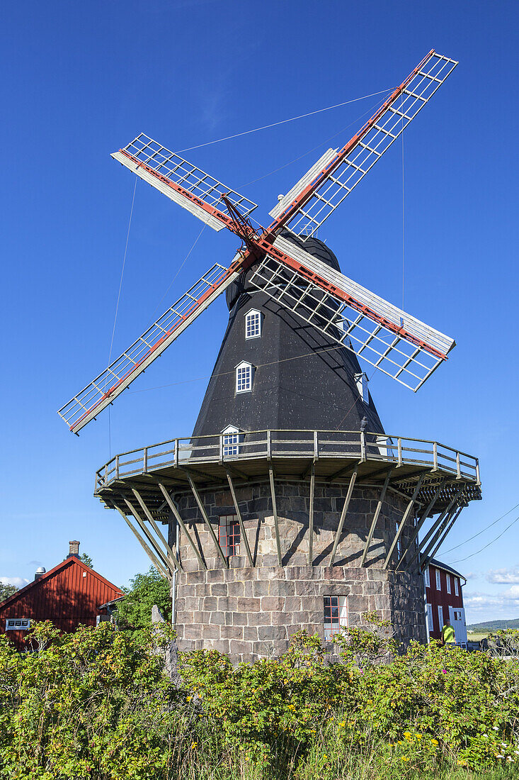 Windmill Särdals Kvarn in Haverdal, Halland, South Sweden, Sweden, Scandinavia, Northern Europe, Europe