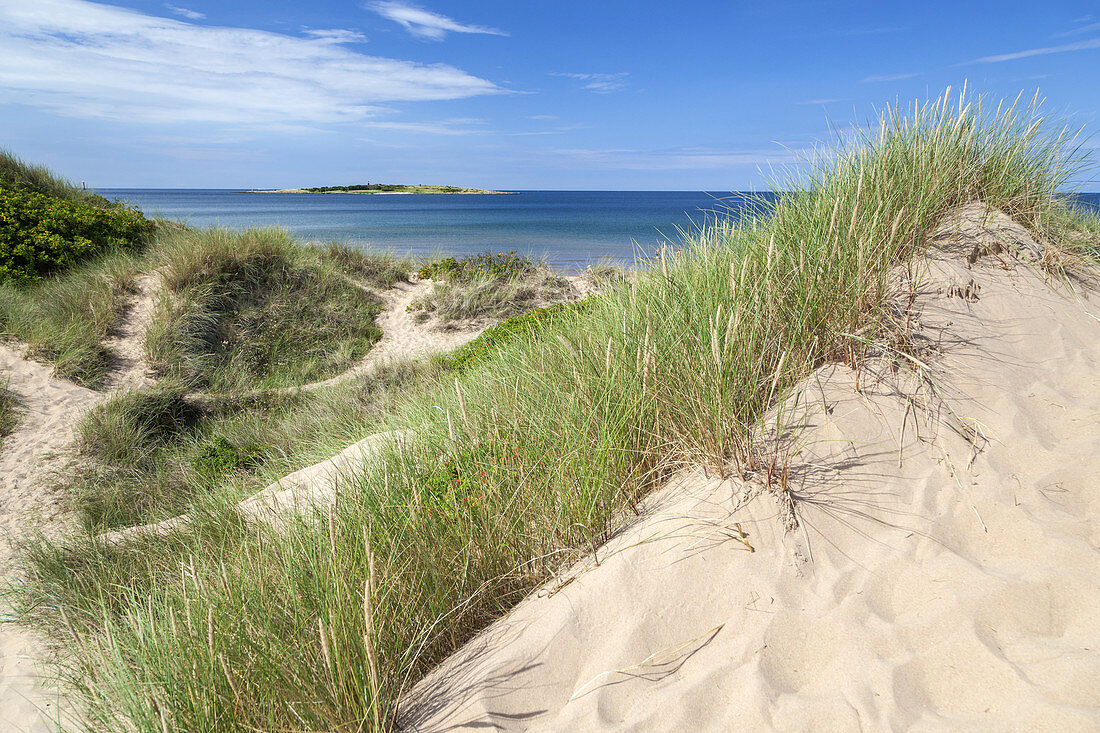 Beach of Tylösand, Halmstad, Halland, South Sweden, Sweden, Scandinavia, Northern Europe, Europe