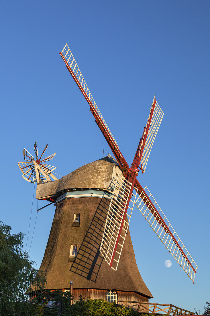 Windmill Handorfer Mühle in Handorf, Lower Saxony, Northern Germany, Germany, Europe