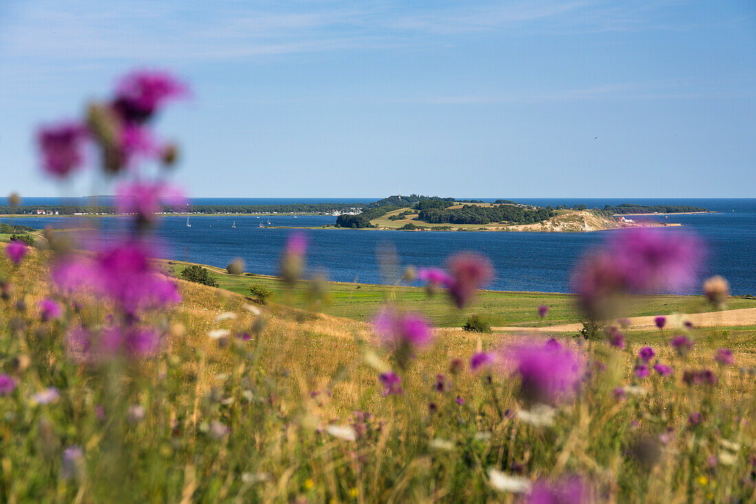 Blick vom Naturschutzgebiet Mönchgut Zicker auf Klein Zicker, Insel Rügen, Mecklenburg-Vorpommern, Ostsee, Deutschland