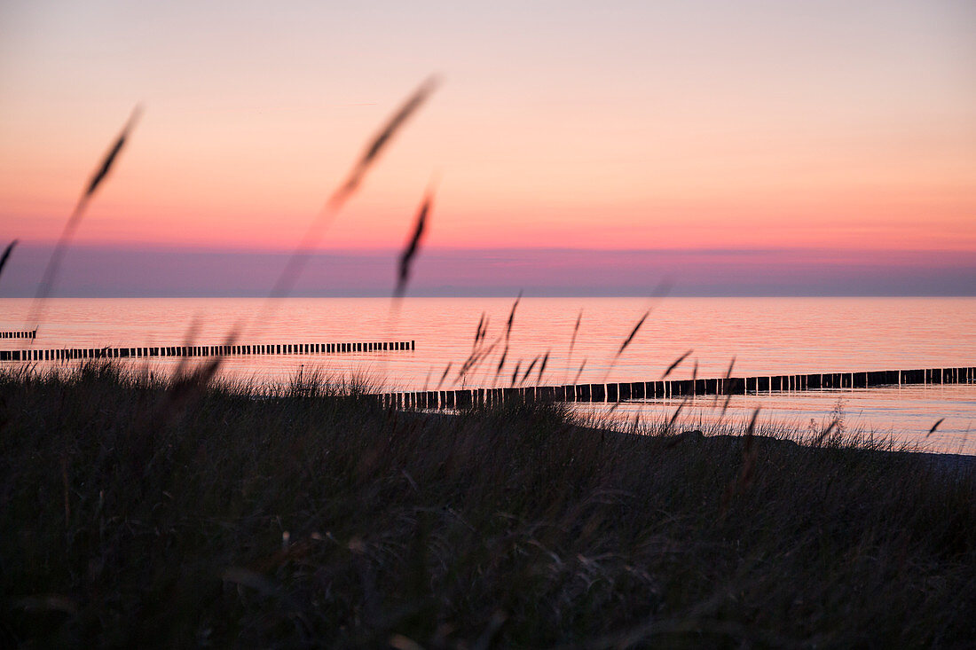 sunset at the beach, groins, Baltic Sea, Zingst,  Mecklenburg-West Pomerania, Germany