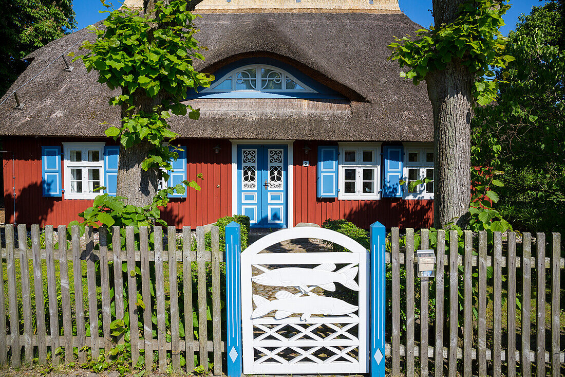 ' thatched house in Ahrenshoop, Darß, Fischland, Baltic Sea, Mecklenburg-Western Pomerania; Germany, Europe'