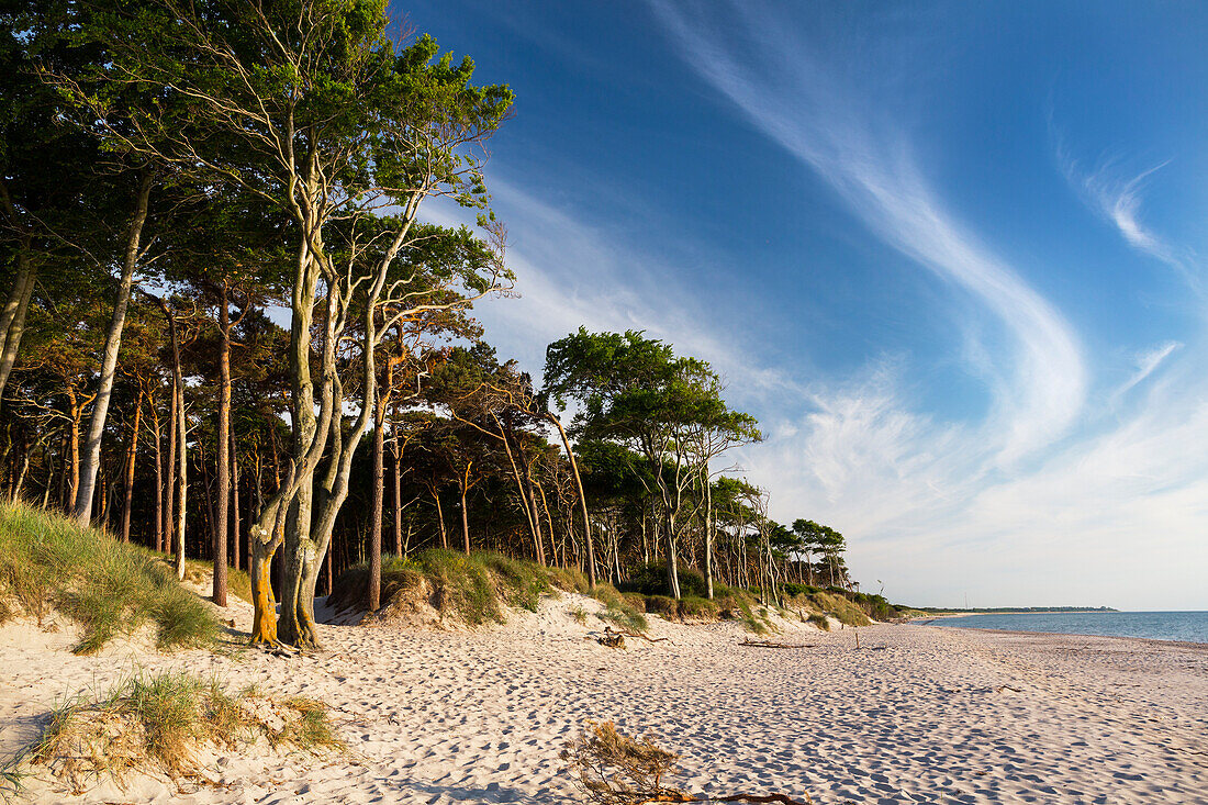 Abend am Darßer Weststrand, Ostsee, Mecklenburg-Vorpommern, Deutschland