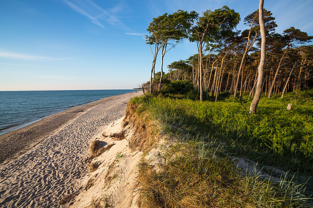 Abend am Darßer Weststrand, Ostsee, Mecklenburg-Vorpommern, Deutschland