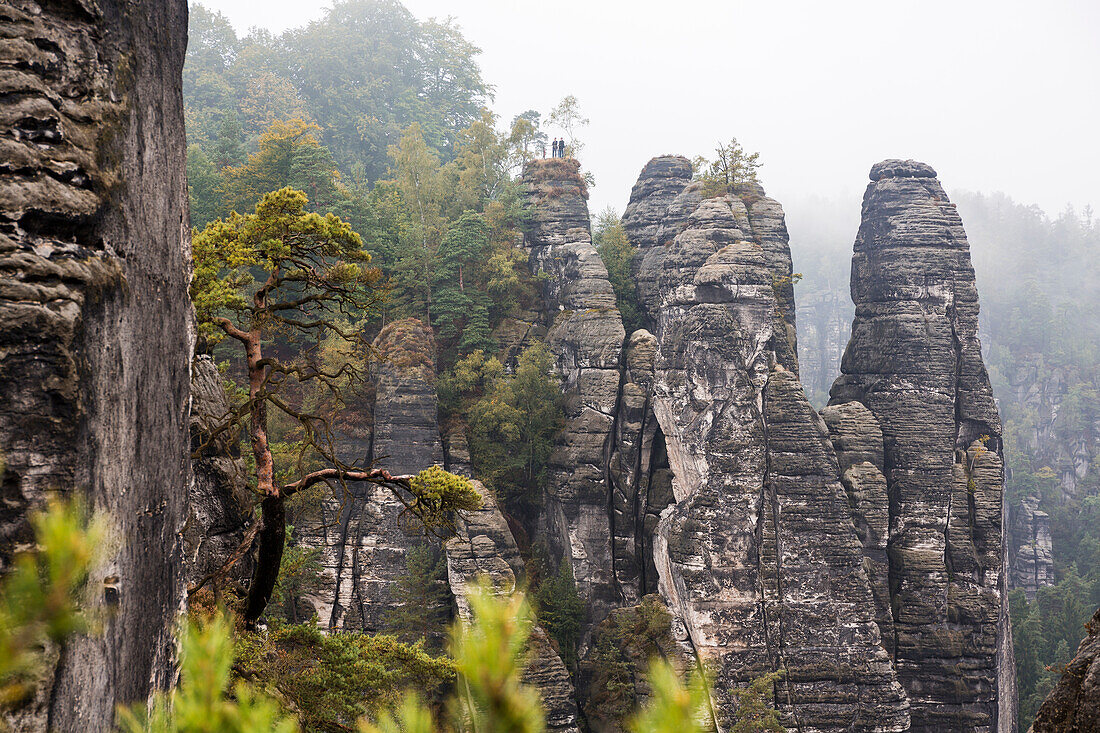 Felsformationen, Bastei, Nationalpark Sächsische Schweiz, Elbsandsteingebirge, Sachsen, Deutschland, Europa