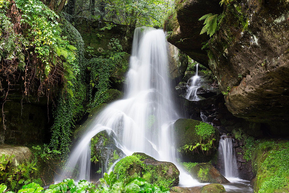 Lichtenhainer Wasserfall, Kirnitzschtal, Sächsische Schweiz, Elbsandsteingebirge, Sachsen, Deutschland