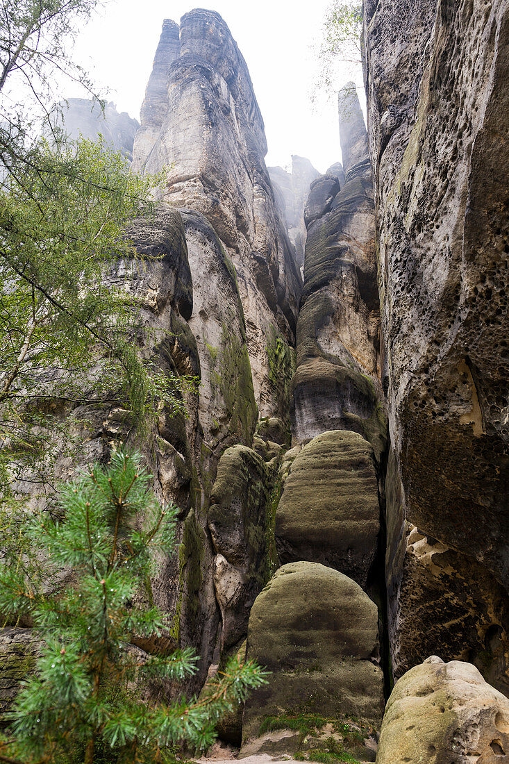 Schrammsteine, Felsformationen, Nationalpark Sächsische Schweiz, Elbsandsteingebirge, Sachsen, Deutschland, Europa