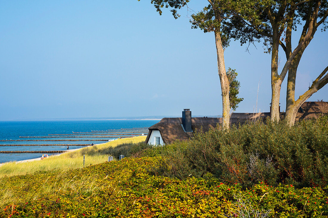 ' thatched house at the beach in Ahrenshoop, , Fischland, Baltic Sea, Mecklenburg-Western Pomerania; Germany, Europe'