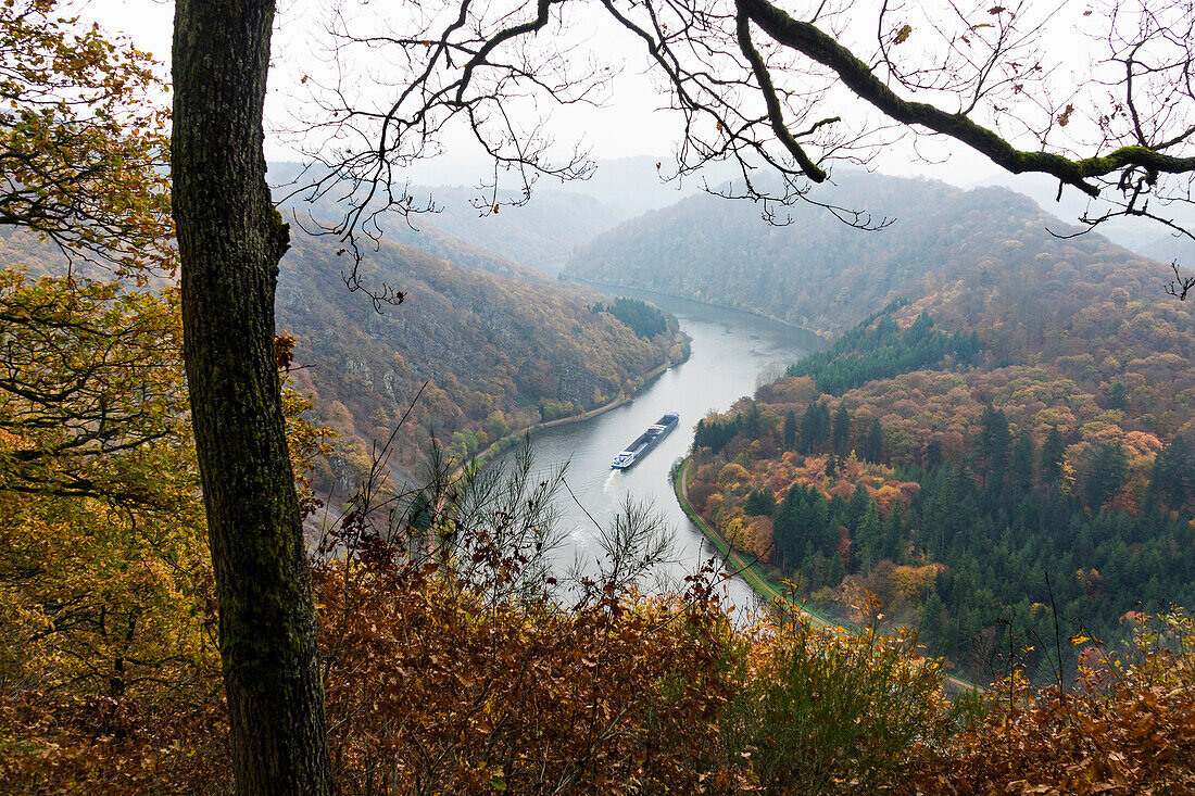 freight ship on Saar River in autumn, Germany, Europe
