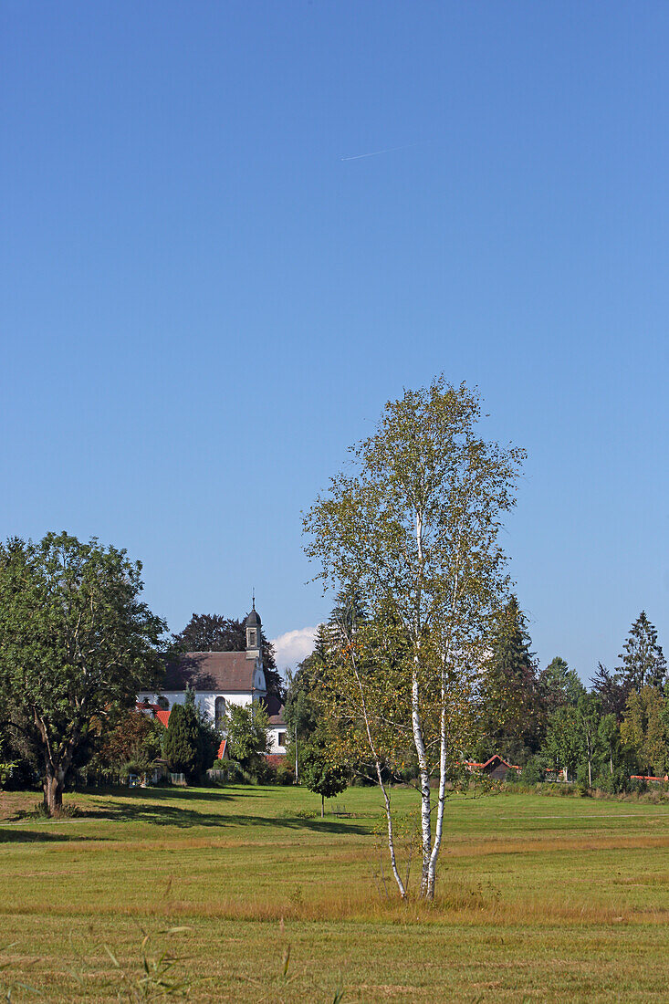 Moorwiese und St. Anna Kapelle, Kißlegg, Westallgäu, Allgäu, Schwaben, Bayern, Deutschland