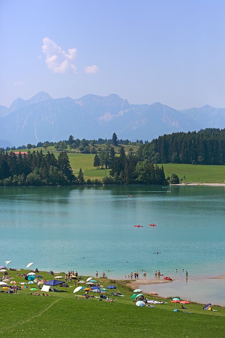 South eastern bank of Forggensee, Fuessen, Upper Allgaeu, Allgaeu, Swabia, Bavaria, Germany