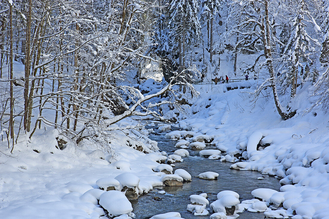 Winter in Breitachklamm, Oberstdorf, Upper Allgaeu, Allgaeu, Swabia, Bavaria, Germany