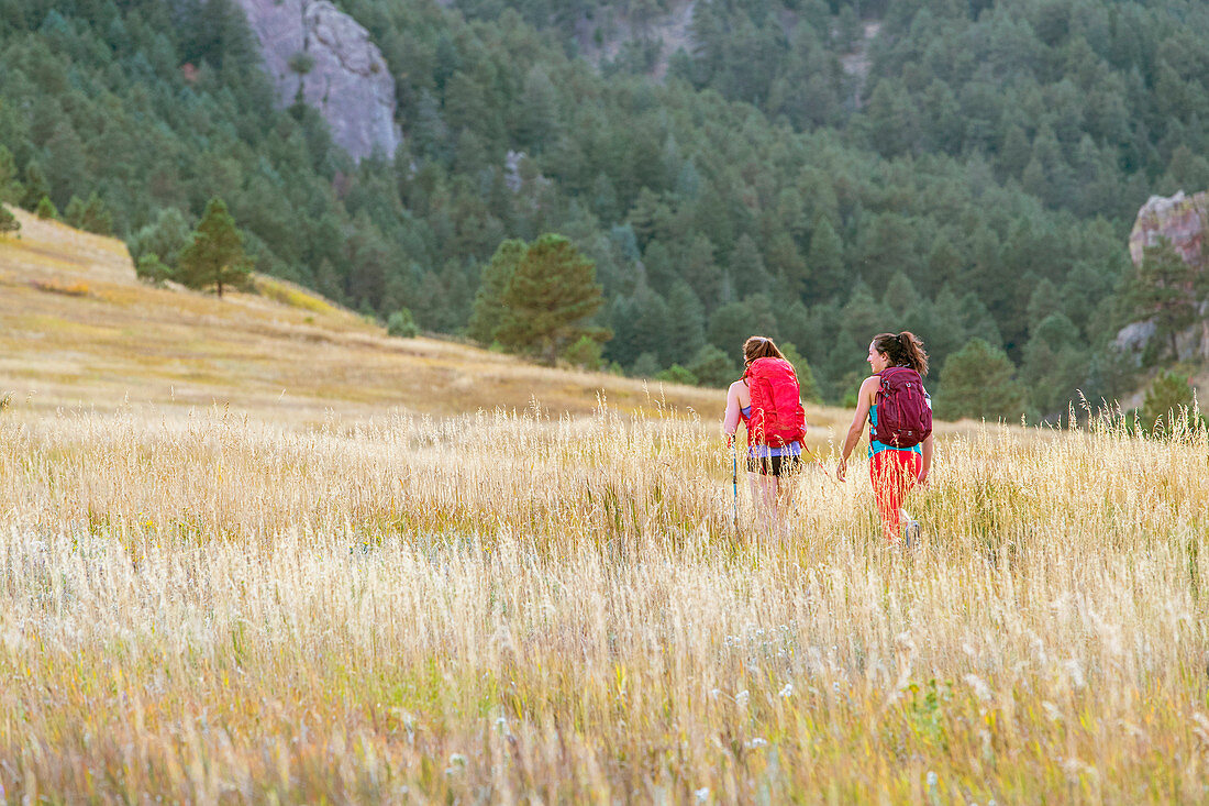 Two Female Hiker Walking On Trail Covered By Tall Grassy Landscape