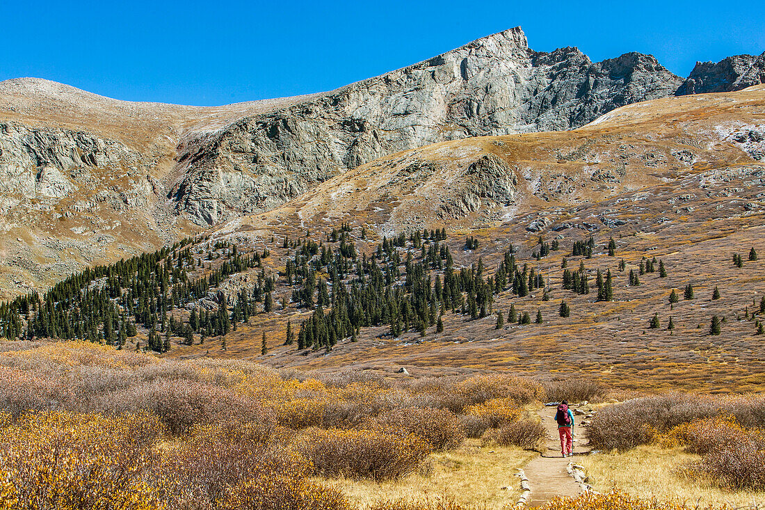 Female Hiker Hiking On A Trail Beneath Mount Bierstadt In Colorado