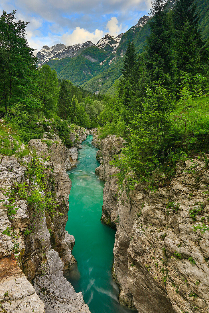 Soca River Flowing Through A Narrow Canyon In Bovec, Slovenia