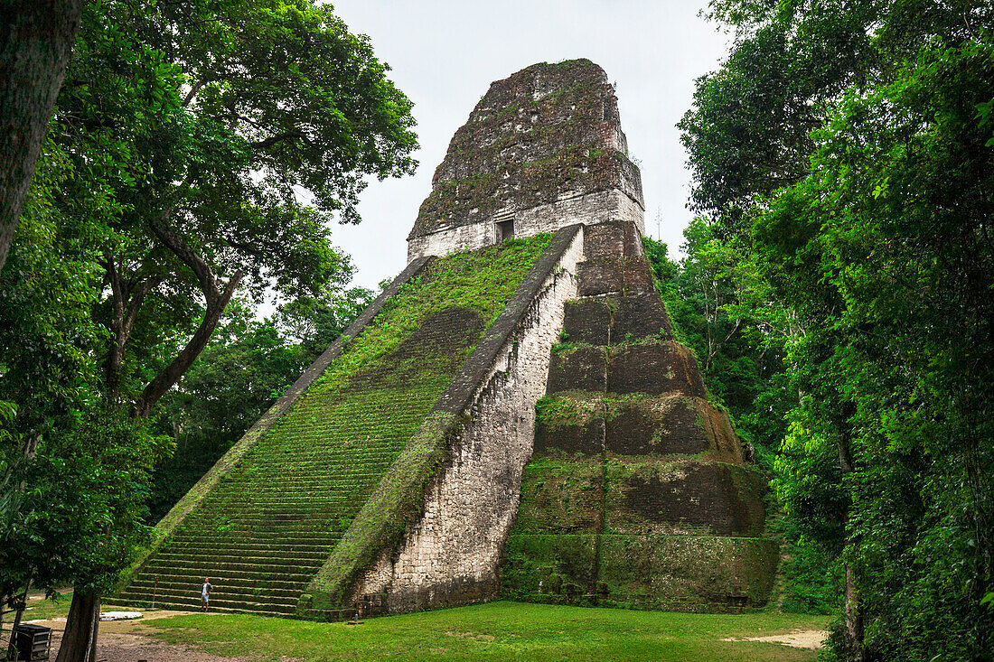 Ruins Of Tikal Mayan Temple In Guatemala