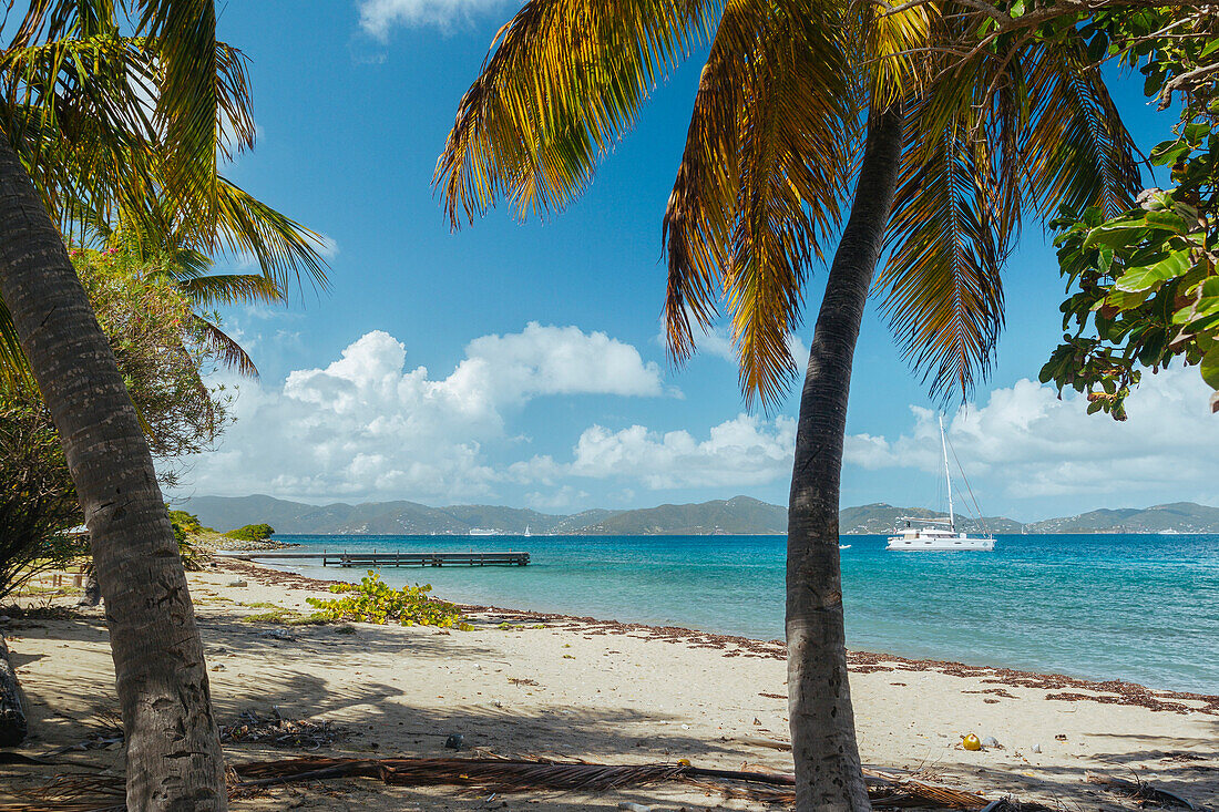 Scenic View Of Beach Scene On Caribbean Salt Island, British Virgin