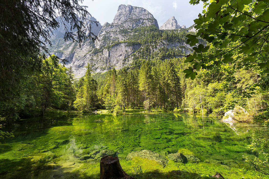 Lake Gosaulacke, Gosau, Salzkammergut, Upper Austria, Austria, Europe