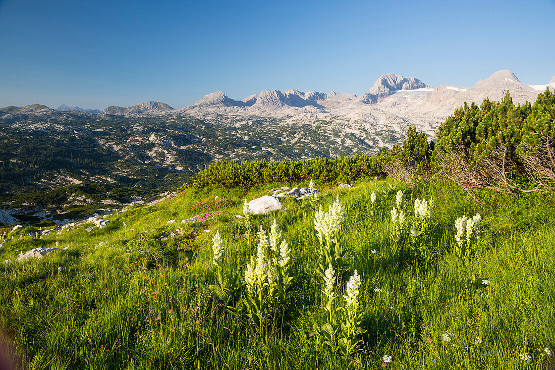 Mountain landscape in spring at Mount Krippenstein, Dachstein area, Upper Austria, Austria, Europe