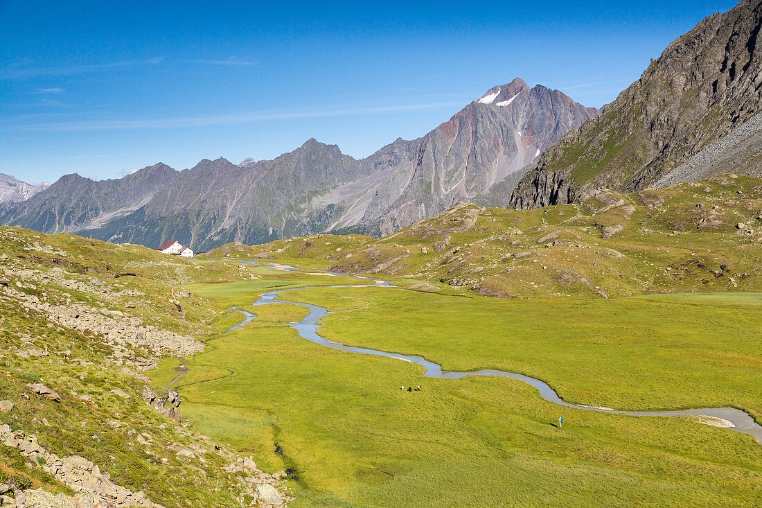 Hohes Moos, Neue Regensburger Hütte, Stubaital, Tirol, Österreich, Europa