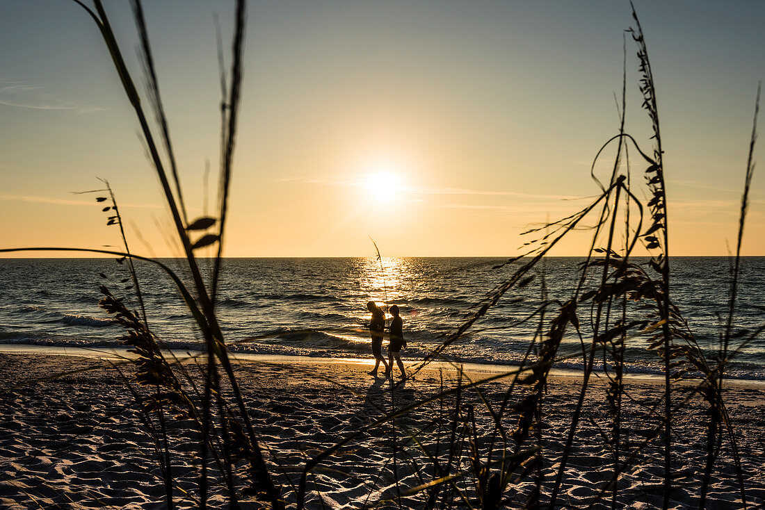 Ein Paar geht am Strand am Golf von Mexiko zum Sonnenuntergang spazieren, Boca Grande, Florida, USA