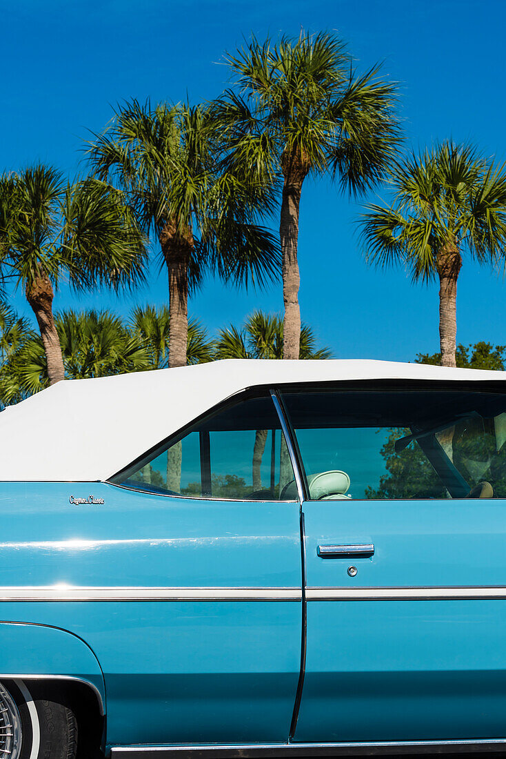 A vintage blue convertible in front of a palm tree group, Fort Myers Beach, Florida, USA