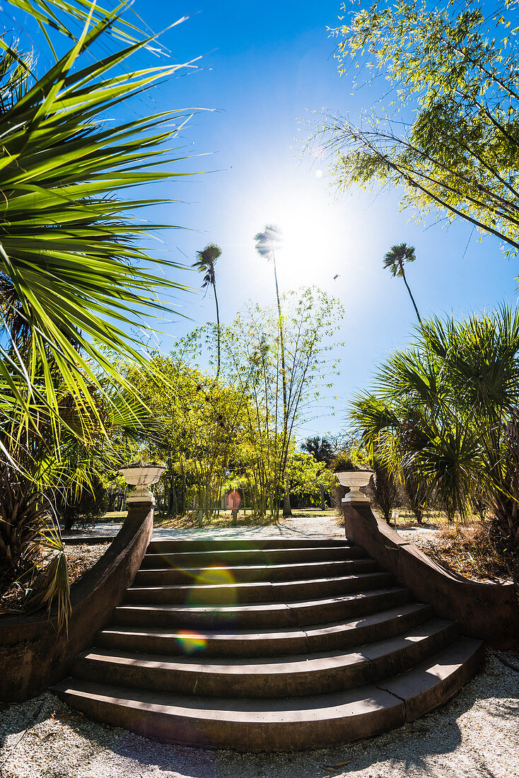 Steps against the light in the historical Koreshan State Park framed by palm trees, Fort Myers, Florida, USA