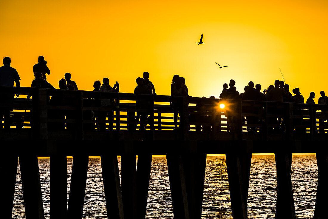 Silhouette von Personen auf dem beliebten öffentlichen Naples Pier am Golf von Mexiko zum Sonnenuntergang, Naples, Florida, USA