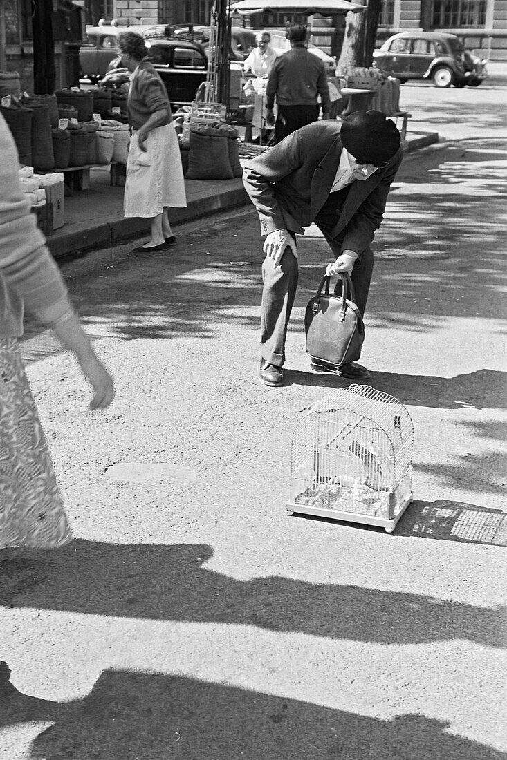 1960, Birdmarket, Marketplace, Paris, France