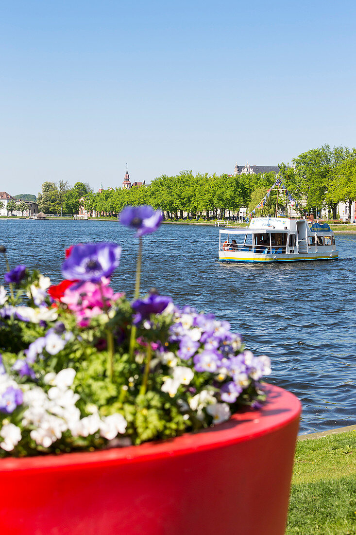 Pfaffenteich Südufer mit Stufen ins Wasser, Schwänen, Cafés und Skulptur Schirmkinder, Fähre, Landeshauptstadt, Schwerin, Mecklenburgische Seen, Mecklenburgisches Seenland, Mecklenburg-Vorpommern, Deutschland, Europa