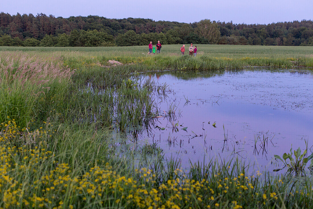 Froschkonzert mit Ranger und Familien, Veranstaltung des Müritz Nationalpark, bei Jugendwaldheim Steinmühle, Mecklenburgische Seen, Mecklenburgisches Seenland, Mecklenburgische Seenplatte, Mecklenburg-Vorpommern, Deutschland, Europa