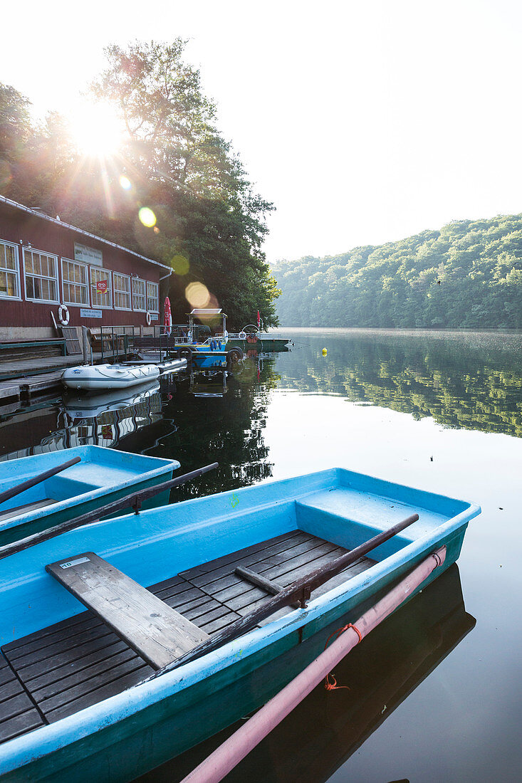 Rowing boat, boat house, manual ferry at lake Schmaler Luzin, crystal clear green water, lake Schmaler Luzin, holiday, summer, swimming, Feldberg, Mecklenburg lakes, Mecklenburg lake district, Mecklenburg-West Pomerania, Germany, Europe