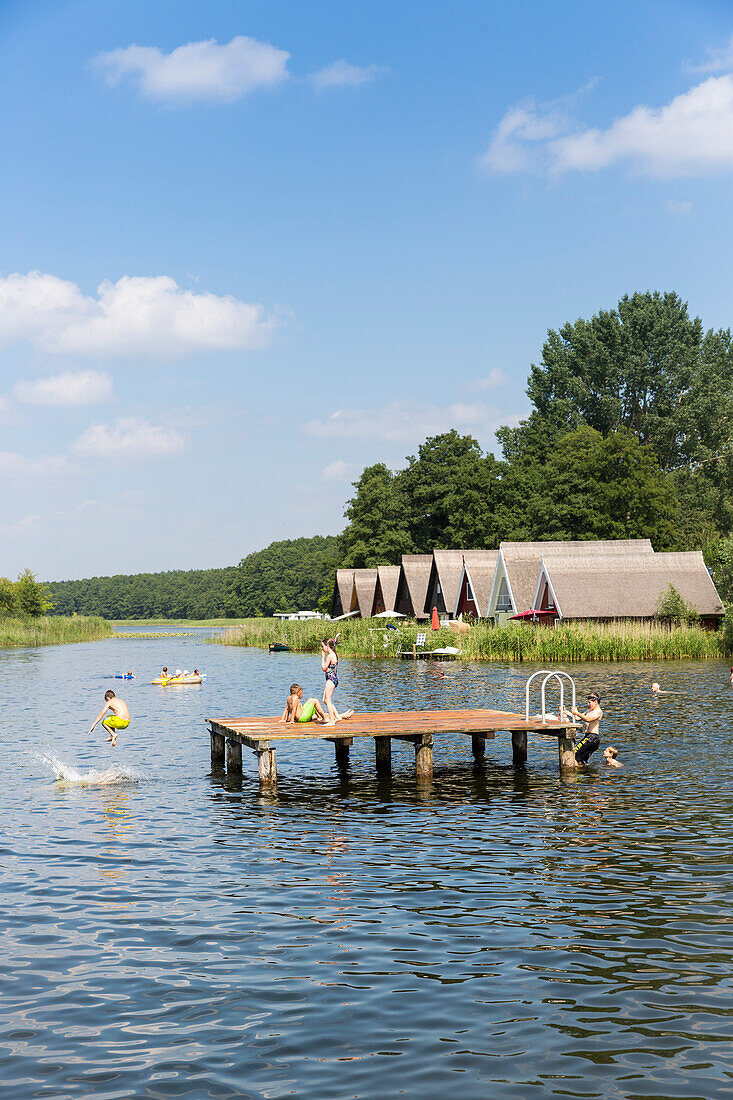 Baden im See, Badeplattform, Sprung ins Wasser, Bootshäuser, Strand, Badestelle, Granzower Möschen, Sommer, Urlaub, baden, Kleinseenplatte, südlich der Müritz, Mecklenburgische Seenplatte, Mecklenburgische Seen, Granzow, Mecklenburg-Vorpommern, Deutschlan